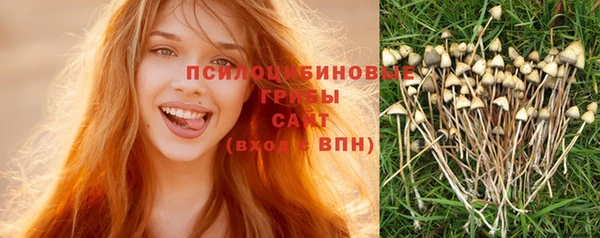 тгк Белокуриха