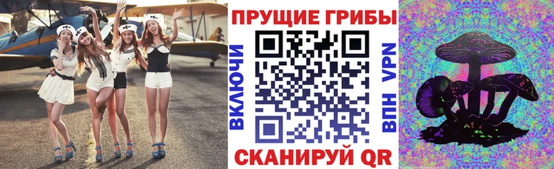 сайты даркнета наркотические препараты  кракен ССЫЛКА  Галлюциногенные грибы MAGIC MUSHROOMS  Полесск  где купить  